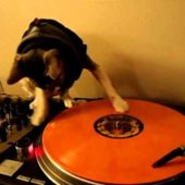 Éclat: Part 61